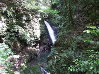 DSCF7521