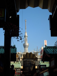 DSCN3492