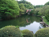 RIMG0083