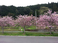 20150416_142755
