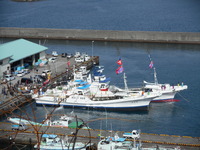 DSCN5420