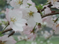DSCF0933