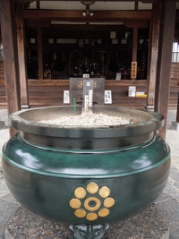 DSCN5908