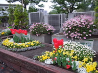 DSCN8646