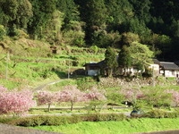 DSCF7108