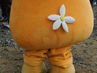 DSCN9890
