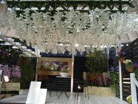 RIMG0979
