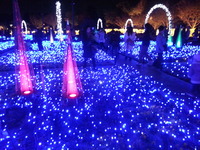 20141121_174131