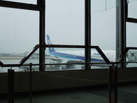 DSCN6179