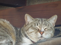 DSCN0168