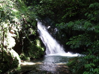DSCF7544