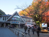 DSCN0547