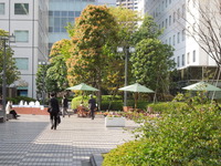 DSCN8181