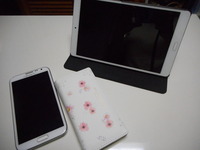 DSCN6292