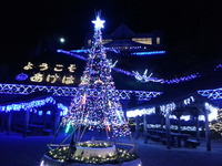 20151229_181258