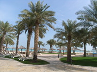 RIMG0233