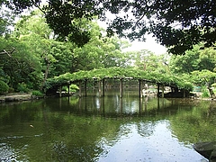 RIMG0866
