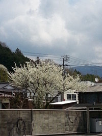 20150331_110825