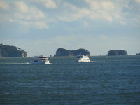 DSCN1915