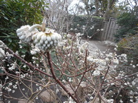 DSCN0506