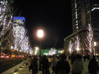IMGP1325