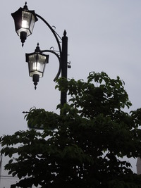 DSCN0369