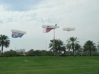 RIMG0220