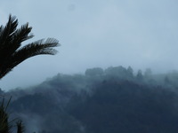 DSCN0019