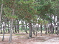 20130828_131343