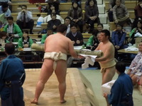 DSCN1091
