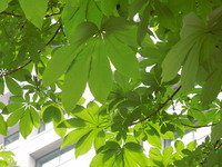 DSCN0650
