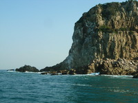 RIMG2481
