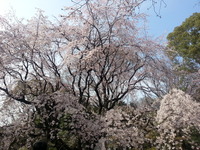 20160329_140323