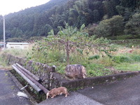 20161027_062229