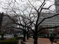 20160324_130041