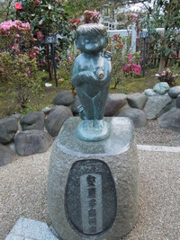 DSCN8237