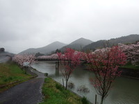 DSCF1047