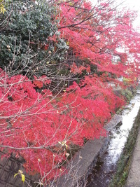 20141128_132027