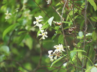 DSCF7578
