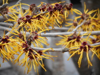 DSCN0536