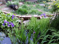 20160430_180924