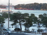 DSCN1969