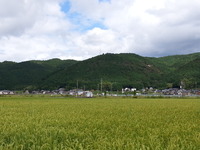 20160825_103058