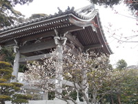 DSCN0559