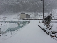 20160124_090307
