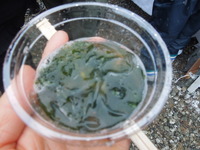 DSCN9870
