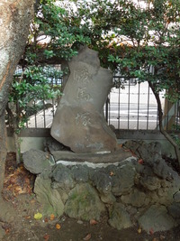 DSCN9913