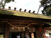 20141129_120538
