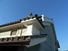 RIMG0620