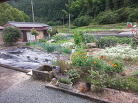 20140630_144831